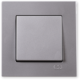 ჩამრთველი  ერთიანი ვერც.  RITA ONEG.ONE WAY SWITCH INOX