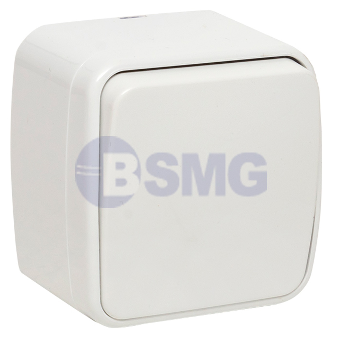 გარე/ჩამრთველი/1კლ. 10A თ minskiEKF