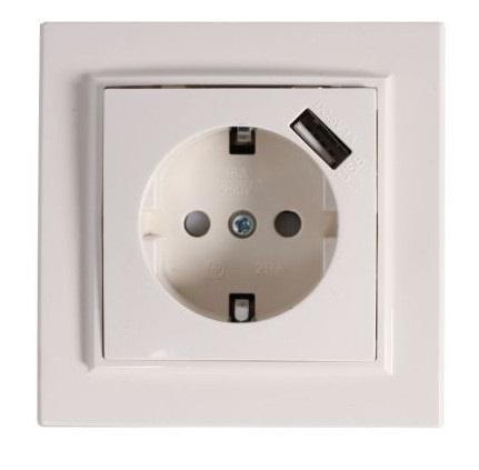 როზეტი 1ბ (ჩ) 16A(ბეჟ)USBეკფ-მინსკი