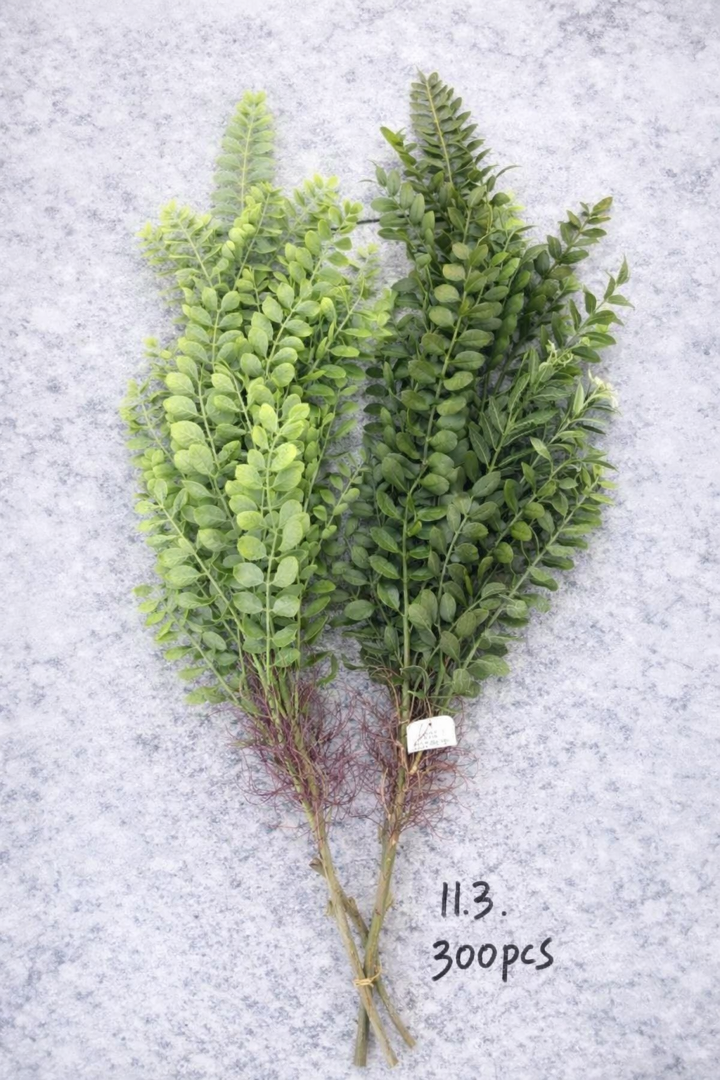 ხელოვნური დეკორატიული ტოტი ST65