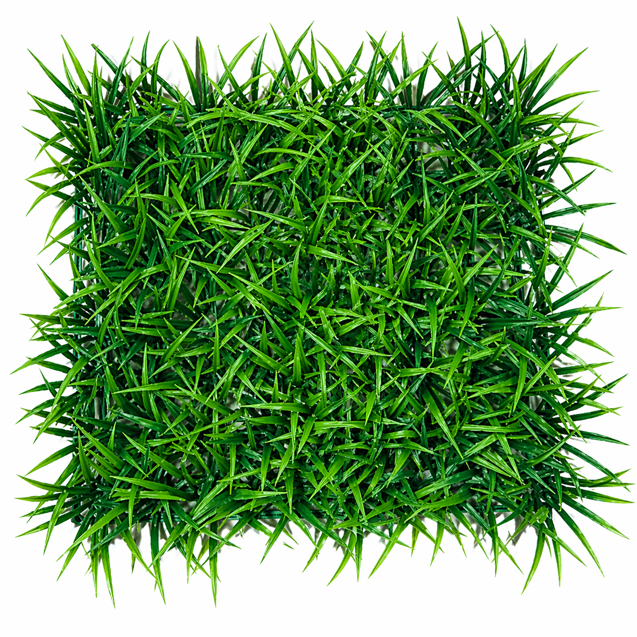 დეკორატიული ბალახი;25x25სმ (XY-021)