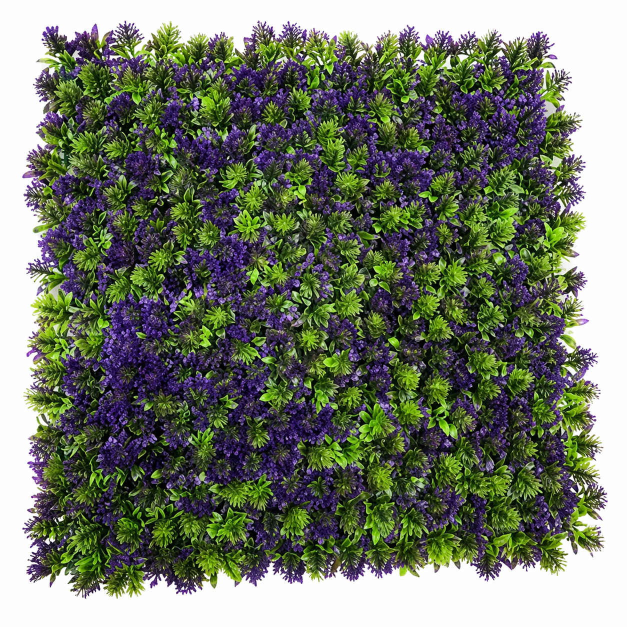 დეკორატიული ბალახი;50სმX50სმ (XY-020)