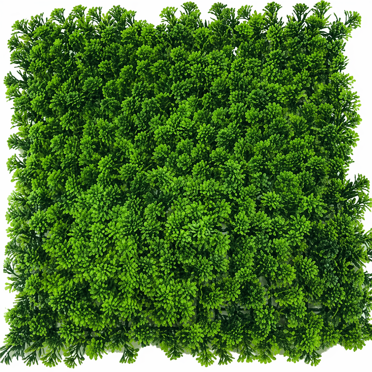 დეკორატიული ბალახი;50სმX50სმ  (XY-018)