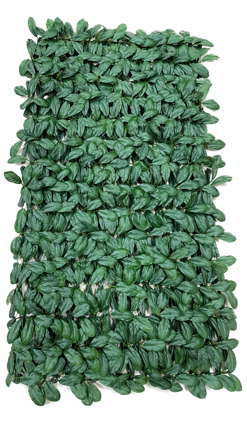 დეკორატიული ყვავილის ღობე;  XY-023