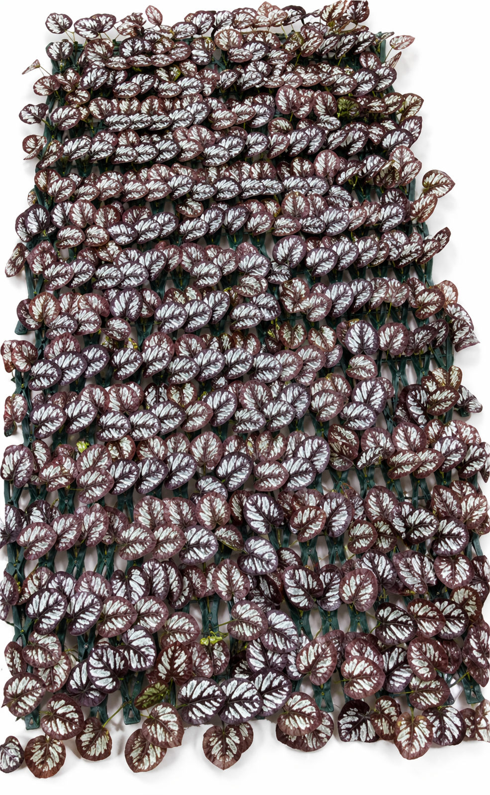 დეკორატიული ყვავილის ღობე;  XY-032