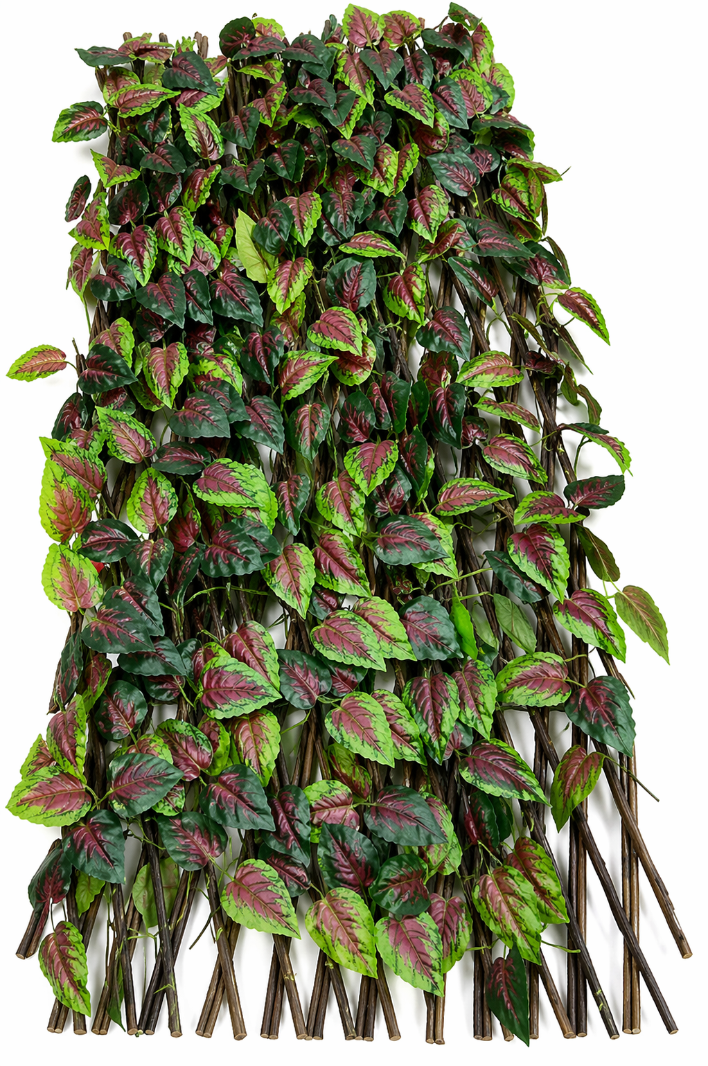 დეკორატიული ყვავილის ღობე;  XY-038