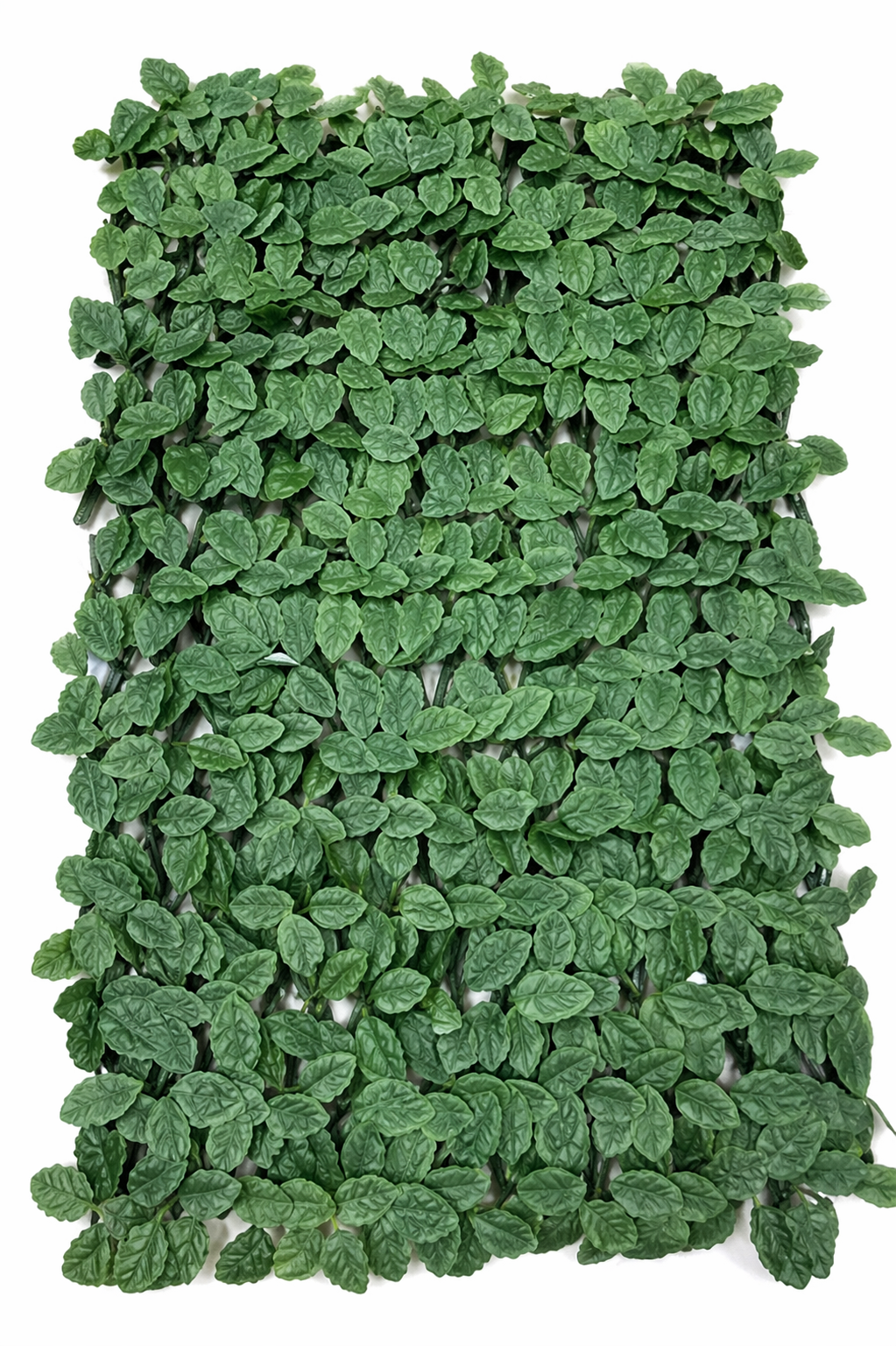 დეკორატიული ყვავილის ღობე;  XY-028