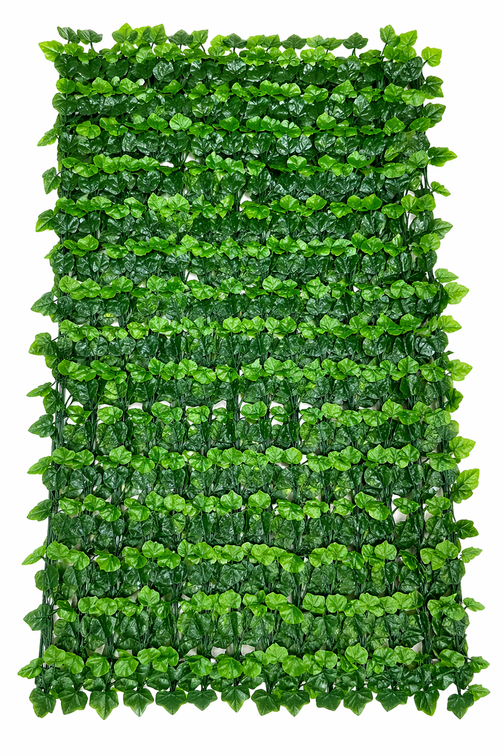 დეკორატიული ყვავილის ღობე;  XY-031