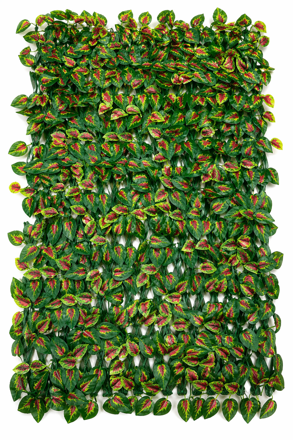 დეკორატიული ყვავილის ღობე;  XY-025