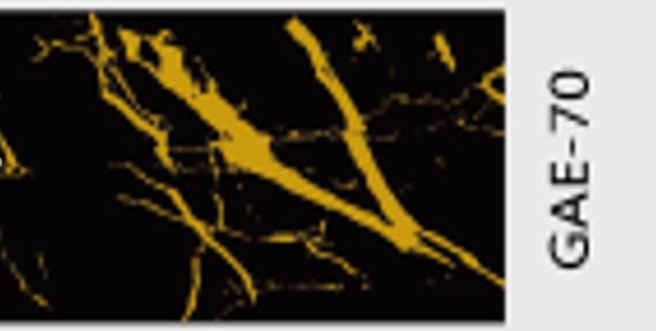 დეკორატიული კედლის სტიკერი;GAE-70;(60სმx60სმ) (8-94)