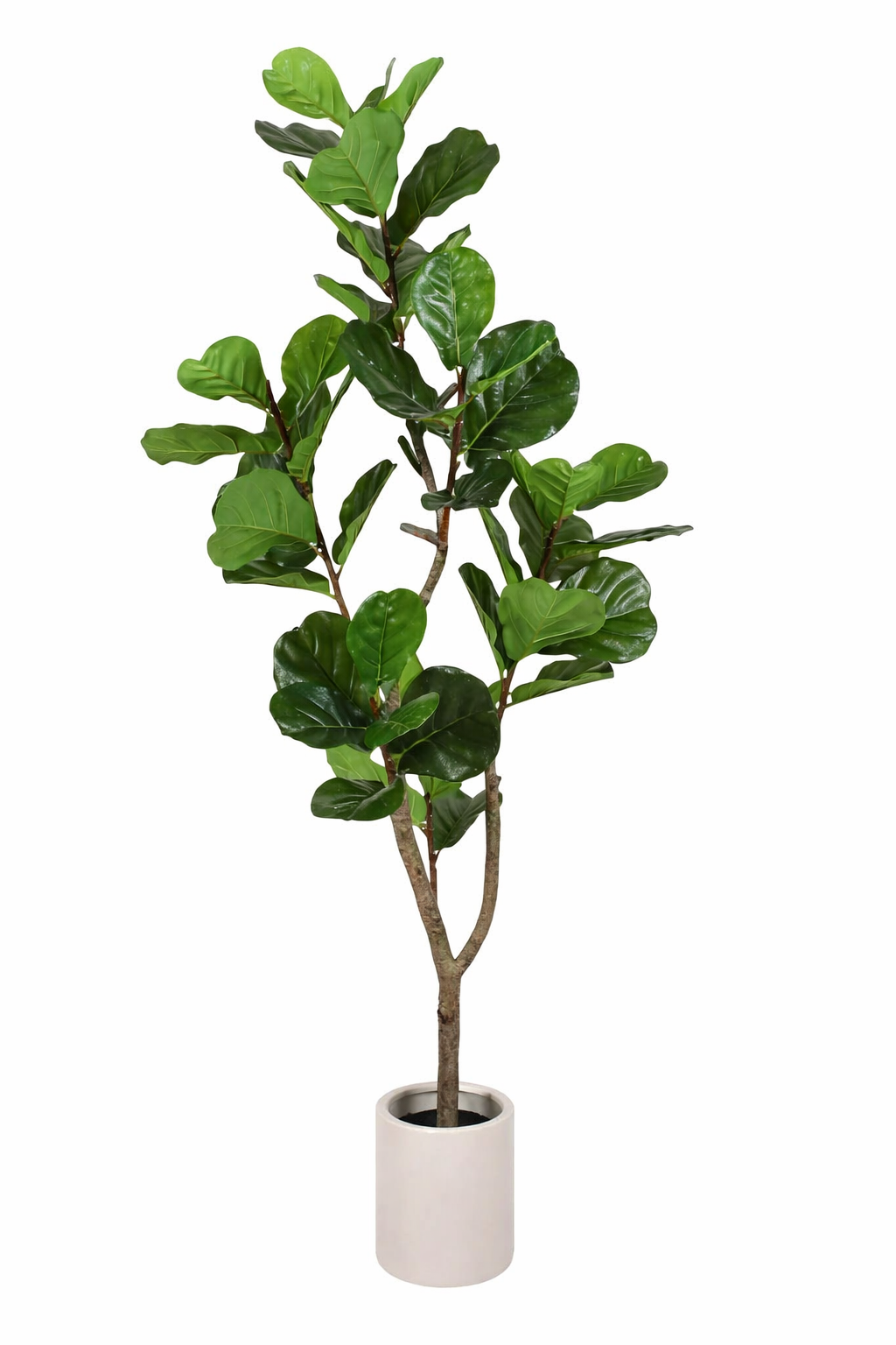 ხელოვნური დეკორატიული მცენარე ქოთნით  (170სმ) YD28237