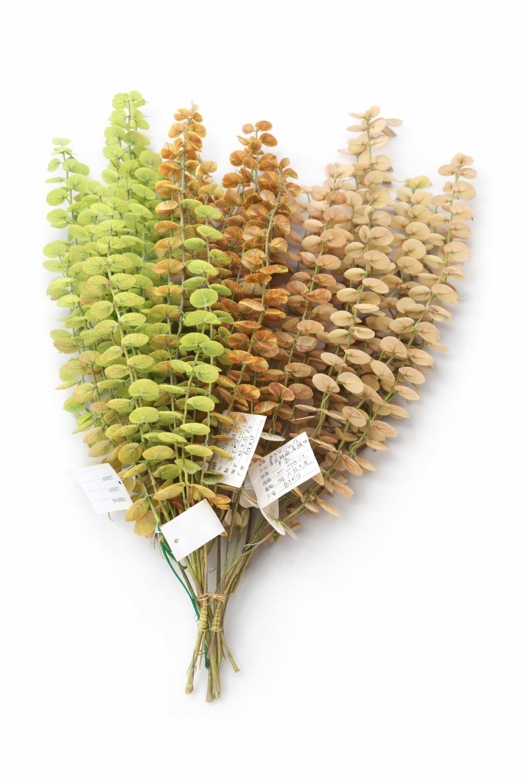  ხელოვნური დეკორატიული ტოტი DXH-16