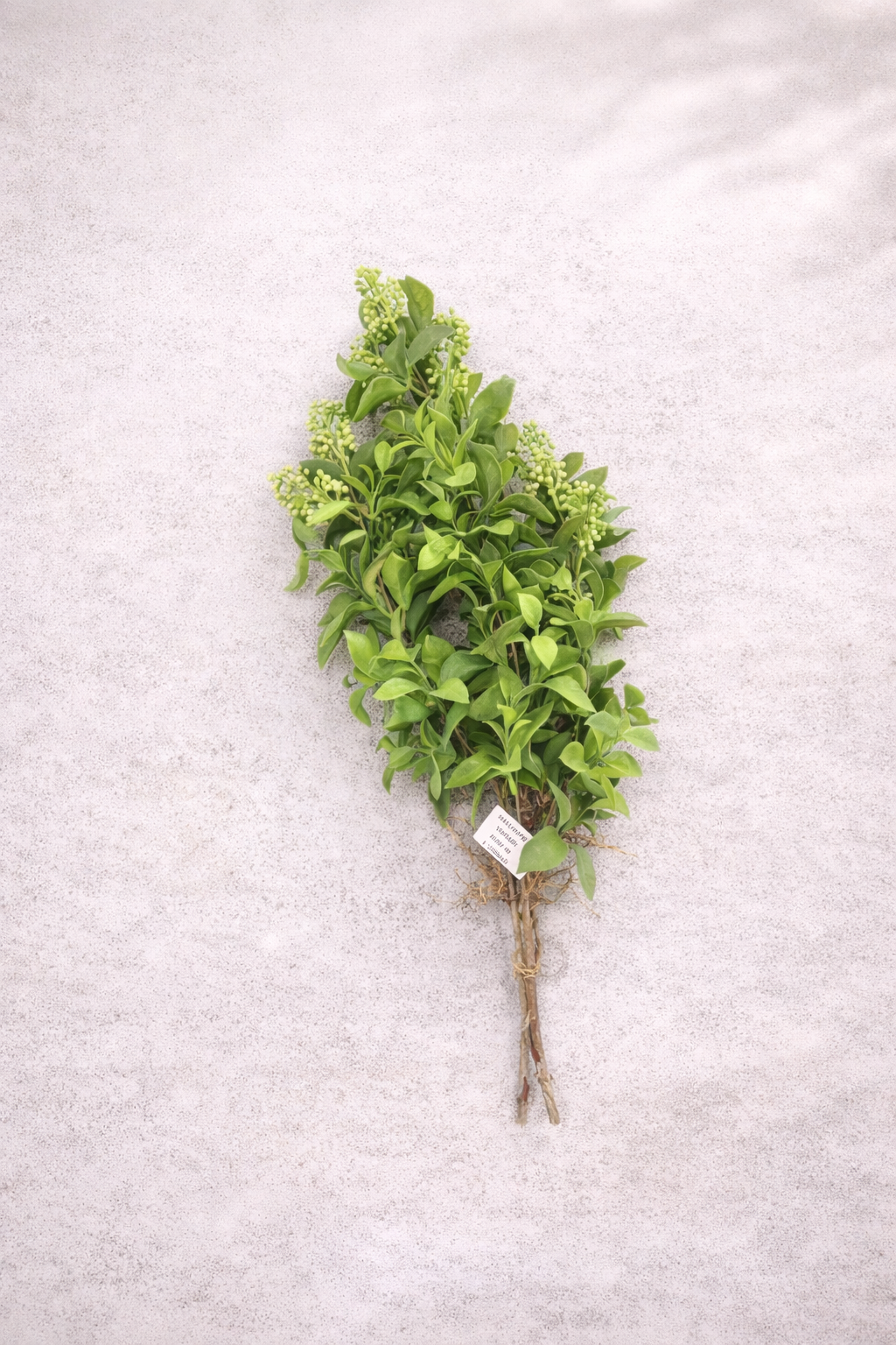 ხელოვნური დეკორატიული ტოტი  S768027-1