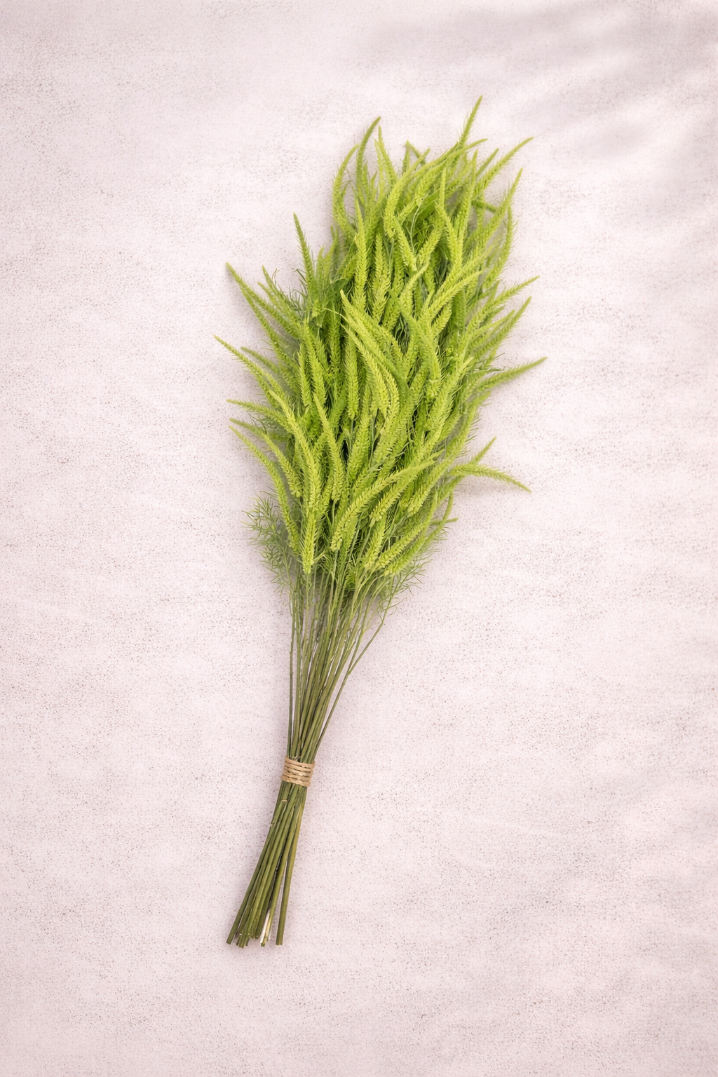 ხელოვნური დეკორატიული ტოტი ST112