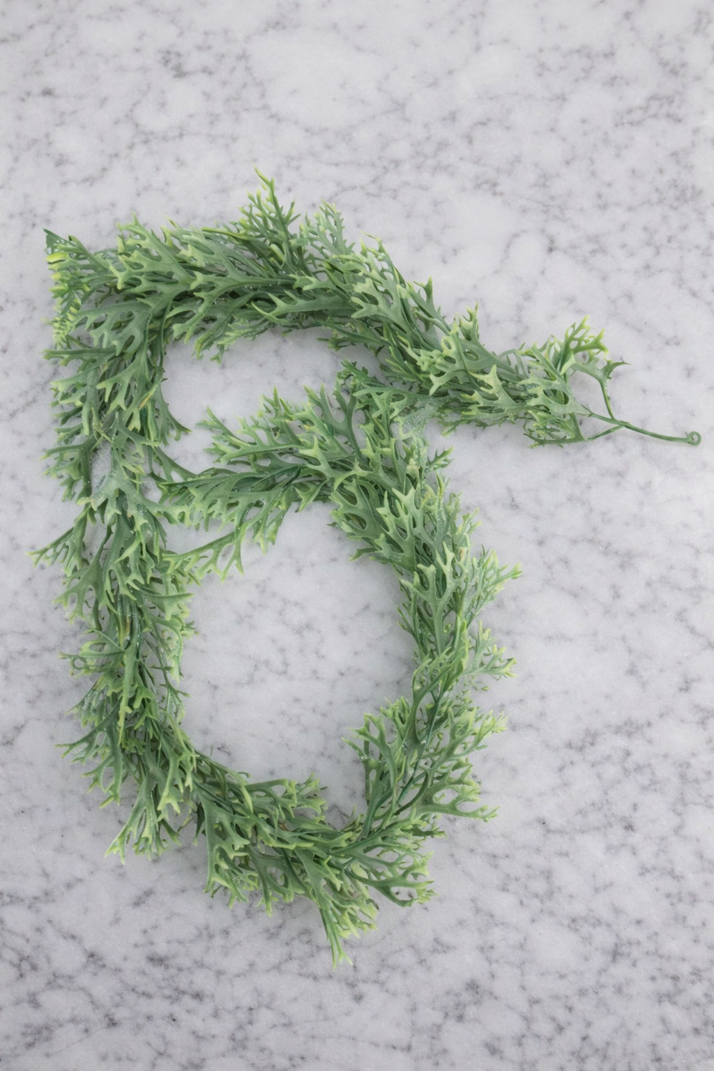 ხელოვნური დეკორატიული ტოტი  L509