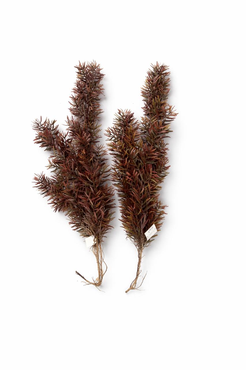  ხელოვნური დეკორატიული ტოტი  04-7